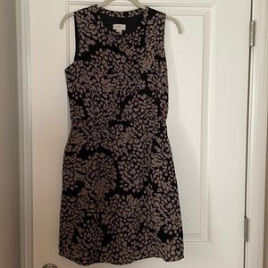 Womens Loft Dress